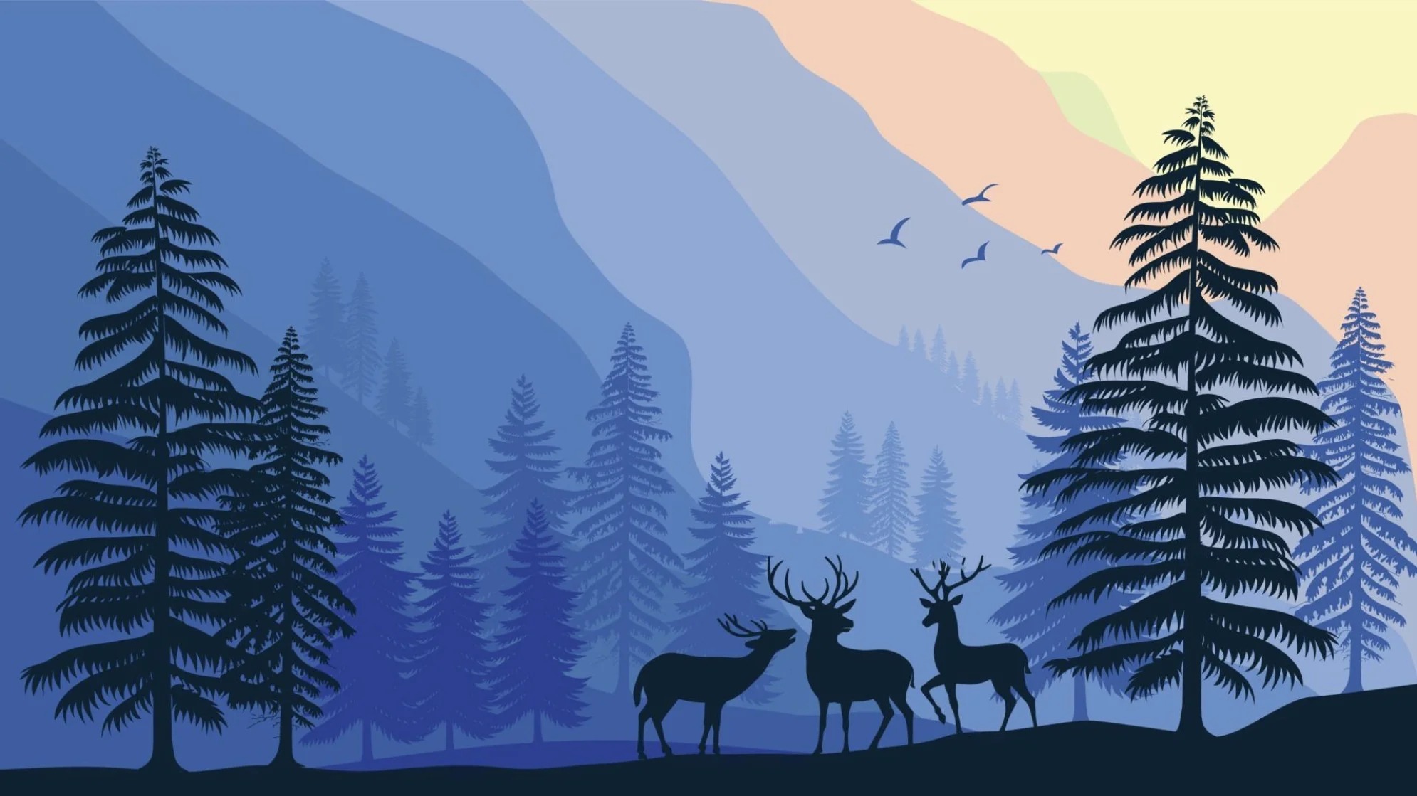 nature.webp